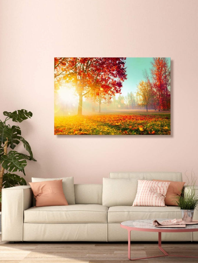 The Forest as a Symbol