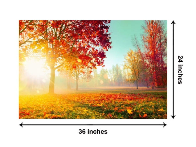 The Forest as a Symbol